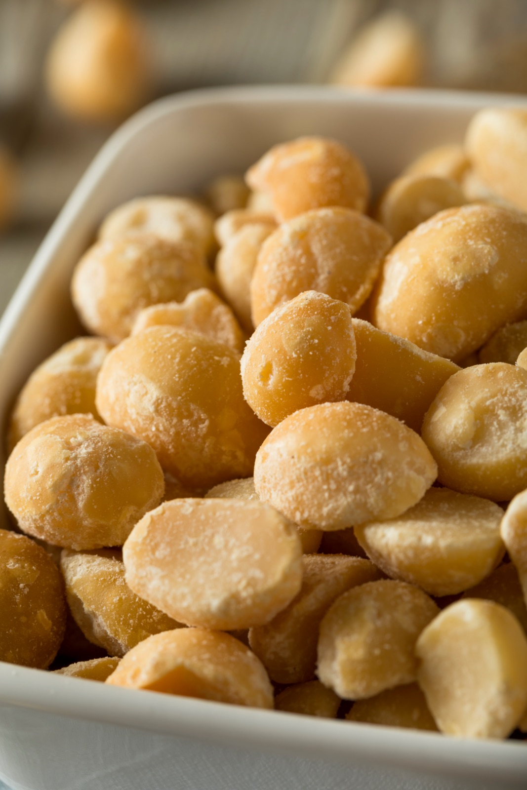 Roasted Macadamia Nuts