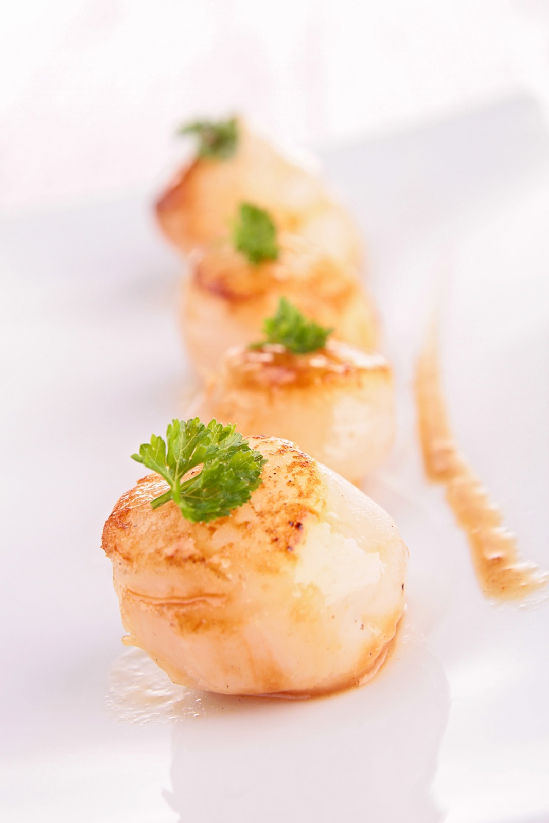 Scallops