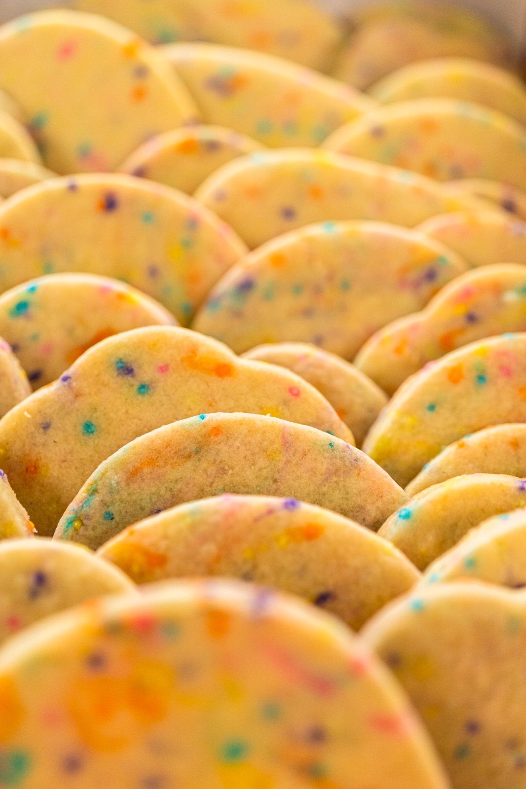 Sugar Cookies